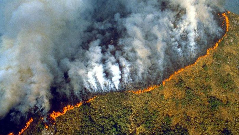Imagini dramatice cu focul care distruge 20% din oxigenul Planetei