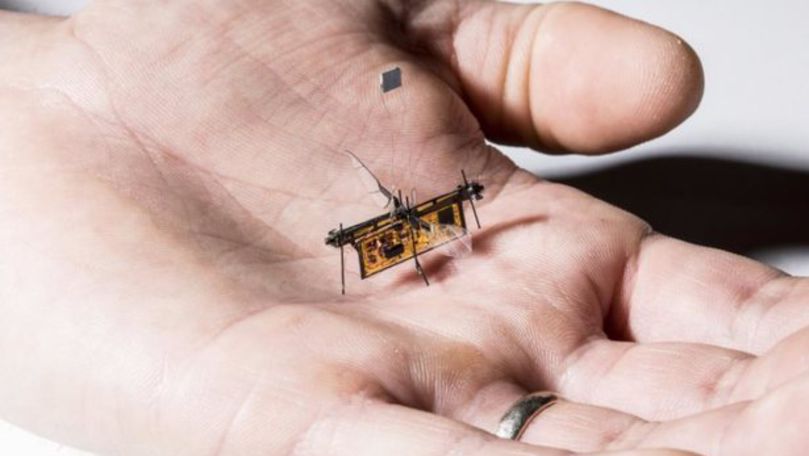 Prima insectă robotică wireless şi-a luat zborul