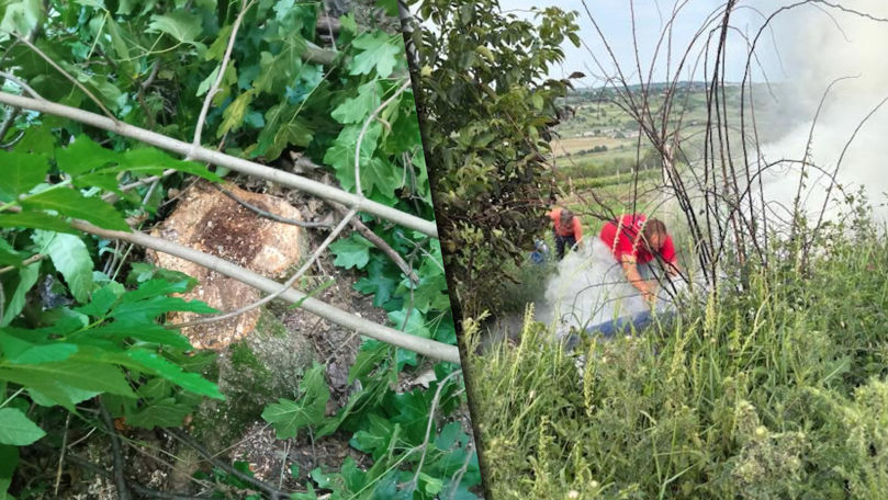 Razii la Călărași: Inspectorii de mediu au depistat mai multe încălcări