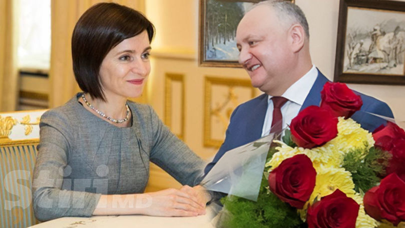 Igor Dodon alege culorile florilor pentru inaugurarea Maiei Sandu