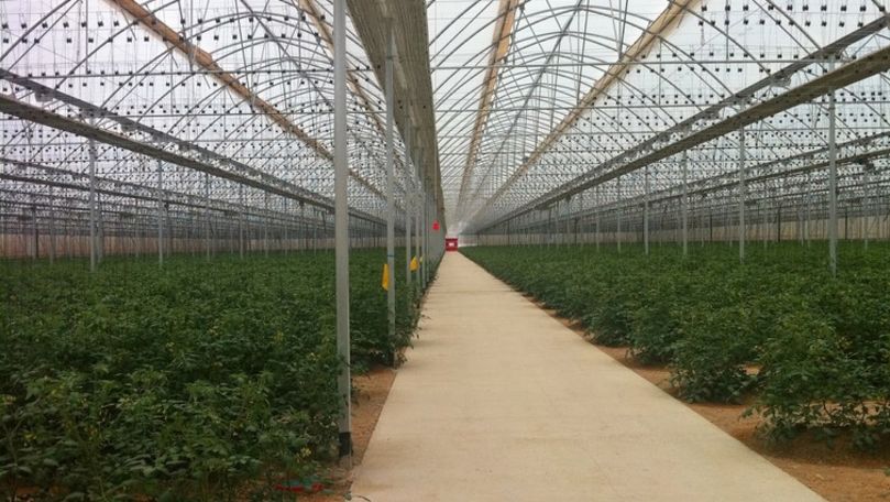Două documente de stat pentru dezvoltarea horticulturii, aprobate