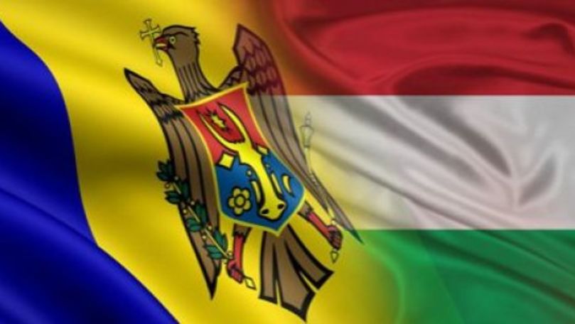 Vasilii Șova a avut o întrevedere cu Ambasadorul Ungariei în R. Moldova