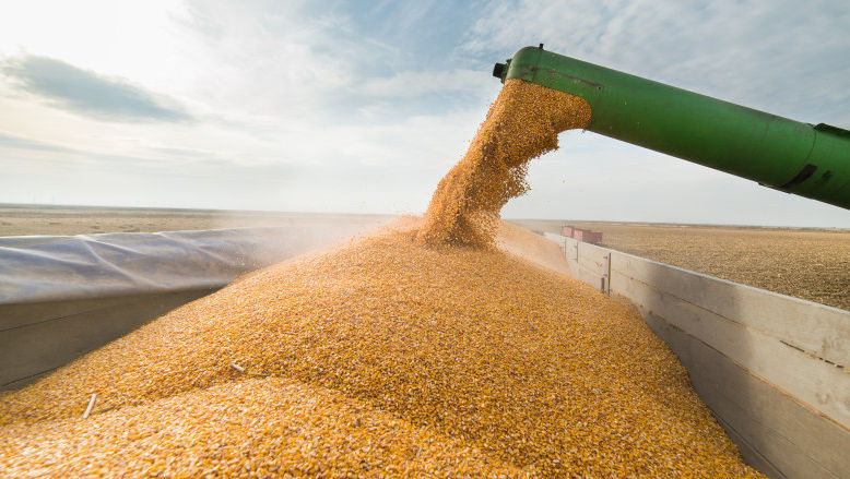 Exporturile de cereale din Ucraina au scăzut cu aproape o treime în 2022