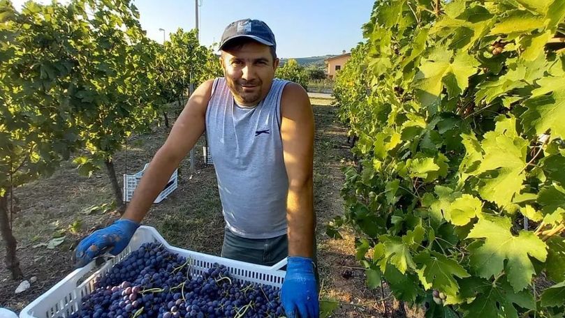 Un primar din Căușeni lucrează în Italia în timpul concediului