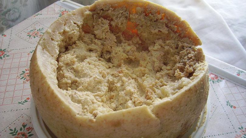 Casu Marzu: Cea mai periculoasă brânză din lume