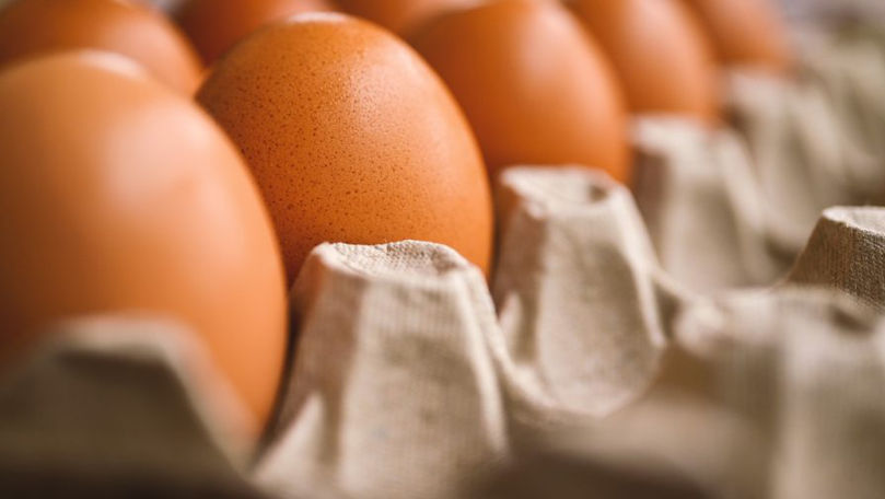 Producătorii autohtoni au obținut dreptul să exporte ouă și carne în UE