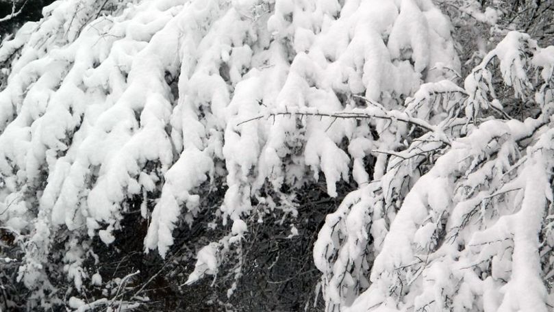 Zăpadă în luna mai în România: Strat de 50 de centimetri