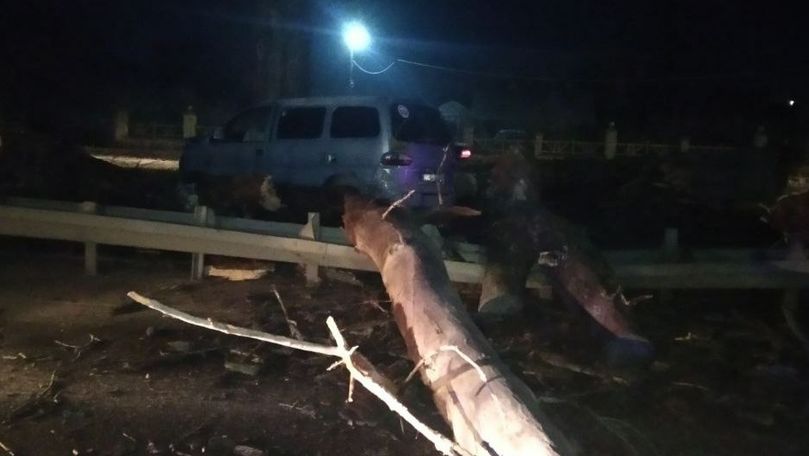 O mașină s-a izbit într-un copac prăbușit la Măgdăcești: Șoferul, rănit