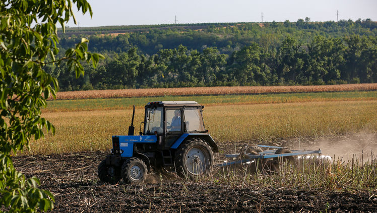 Agricultorii pot solicita subvenții complementare până pe 30 septembrie