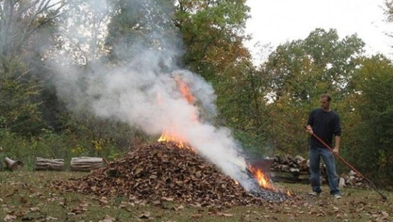 Un bărbat, sancționat pentru arderea vegetației. Ce spun specialiștii