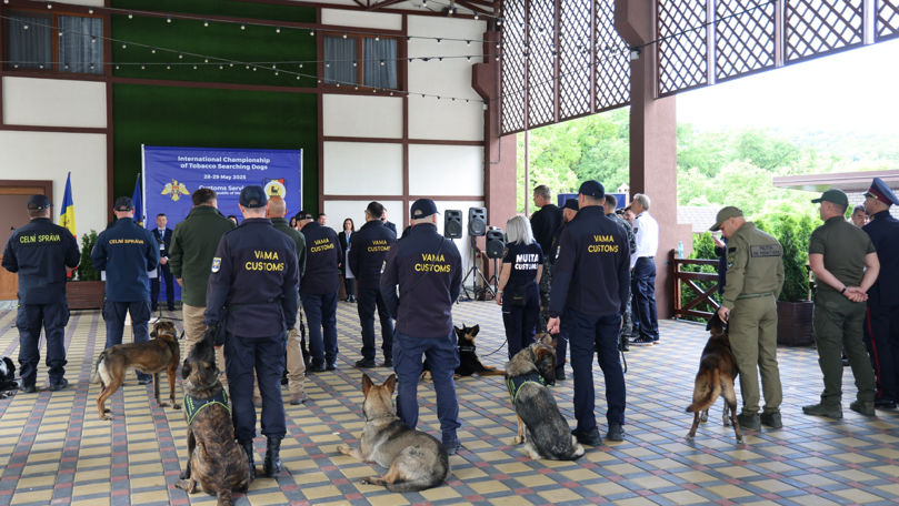 Echipe canine din șase țări au concurat la Campionatul Vamal de la Orhei