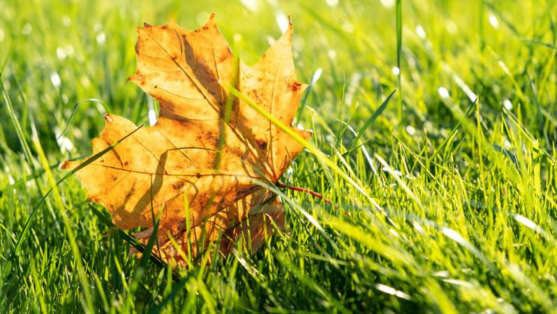 Vine toamna în Moldova: Ce temperaturi sunt așteptate în primele zile