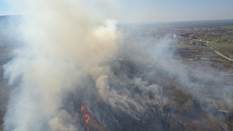 Incendiile de vegetaţie continuă să devasteze zone din Bulgaria