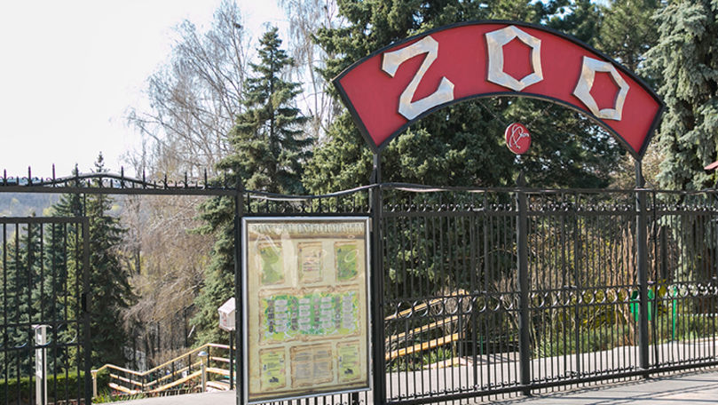 Ușile Grădinii Zoologice, deschise. Ce vor putea vedea vizitatorii