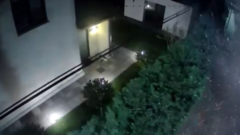 Un explozibil, aruncat în curtea casei primarului de Stăuceni