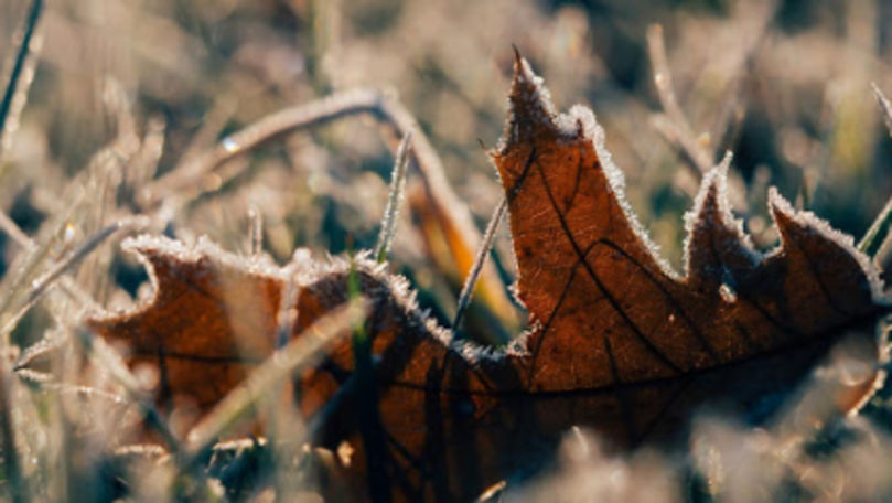 Alertă meteo: Cod Galben de îngheț. Temperaturile prognozate