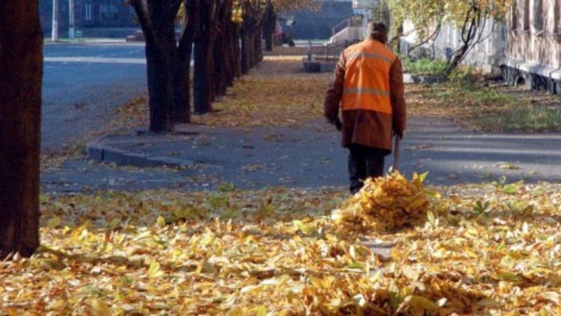 Chișinăul, inundat de frunze: Locuitorii cer autorităților să fie ordine