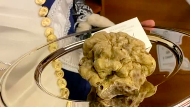 O trufă uriașă găsită în Italia a fost vândută la un preț record