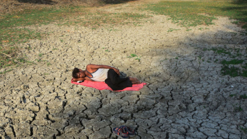 Temperaturi extreme în India: 49 de persoane au murit din cauza căldurii