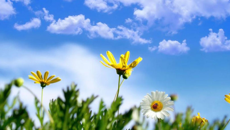 Meteo 4 august: Cer variabil și temperaturi caniculare în țară