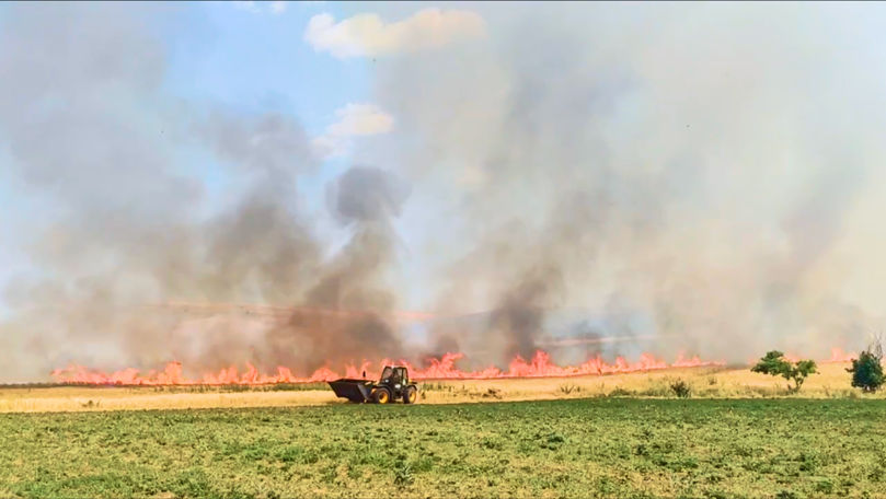 Incendiu la Comrat: 20 de hectare de vegetație, în flăcări