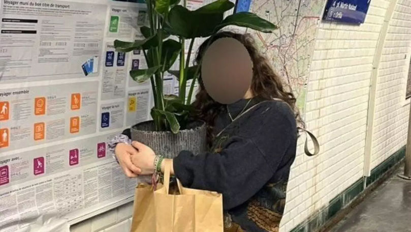 A vrut să urce în metrou cu o plantă mare: Ce amendă a primit o femeie