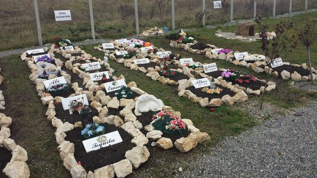 Un cimitir pentru animale de companie va fi deschis în Galați