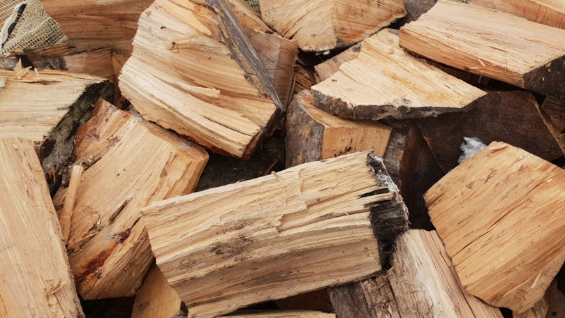 Banii alocaţi pentru lemne şi împădurire, rămași pe conturile Moldsilva