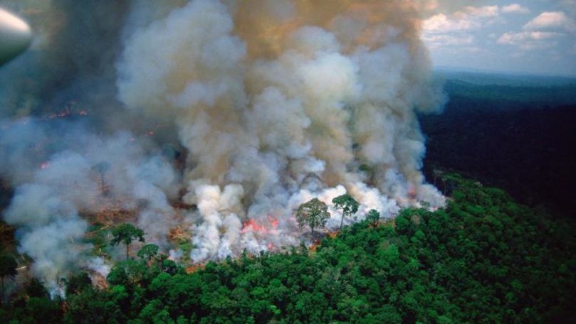 Brazilia: Numărul incendiilor de pădure a crescut cu 83%