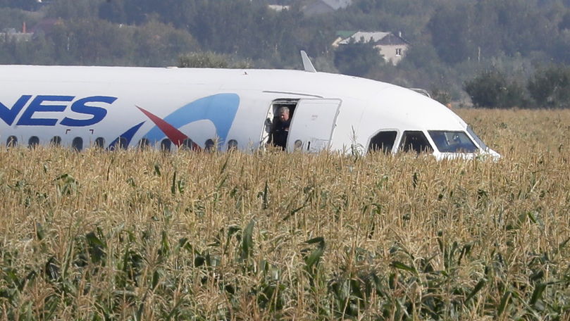 Avionul aterizat în porumb, filmat cum lovește un stol de păsări