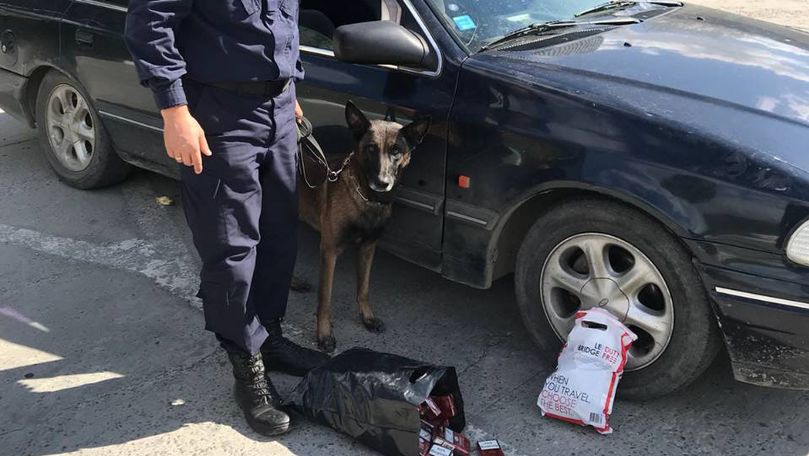 Țigări sub capota mașinii, găsite de câinele Poliției de Frontieră