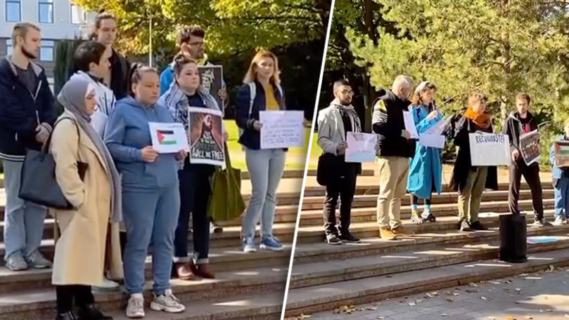 У здания парламента Молдовы прошел пикет в поддержку палестинцев из сектора Газа.
