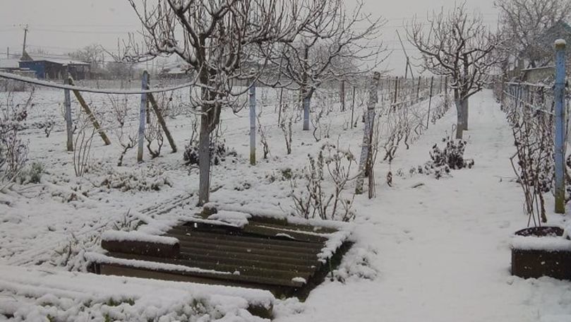 A nins ca-n povești în unele localități din Moldova: Reacția oamenilor