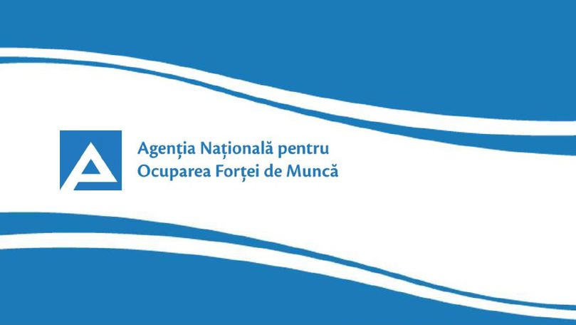 Agenția Națională de Ocupare a Forței de Muncă va fi reorganizată