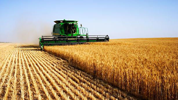 Republica Moldova are circa două mii de hectare de terenuri agricole