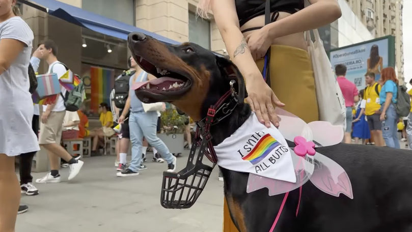 Более 25 000 человек приняли участие в ЛГБТ-марше в Бухаресте.