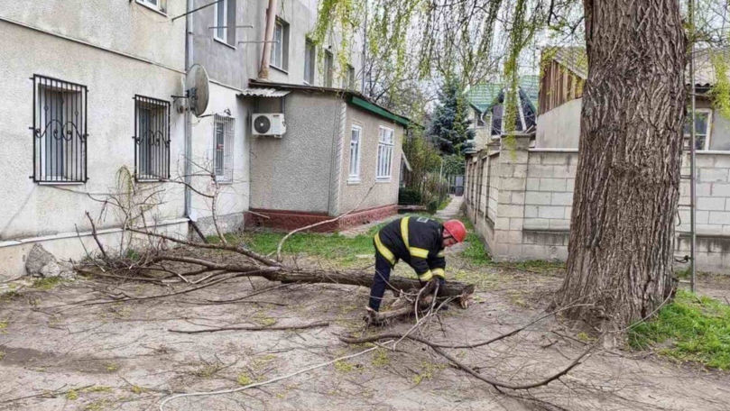 Последствия шквалистого ветра: сотрудники ГИЧС работают в усиленном режиме.