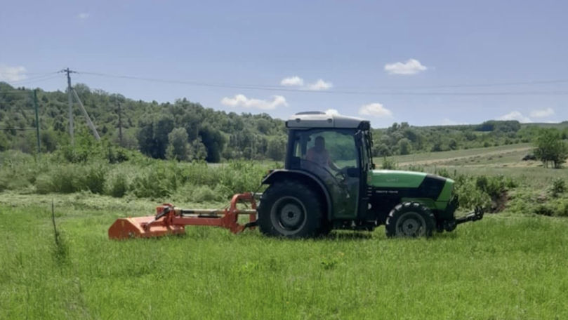 Primăria Ialoveni continuă lucrările de distrugere a plantei ambrozia