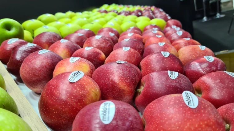 În luna mai, Republica Moldova a exportat peste 8.000 de tone de mere