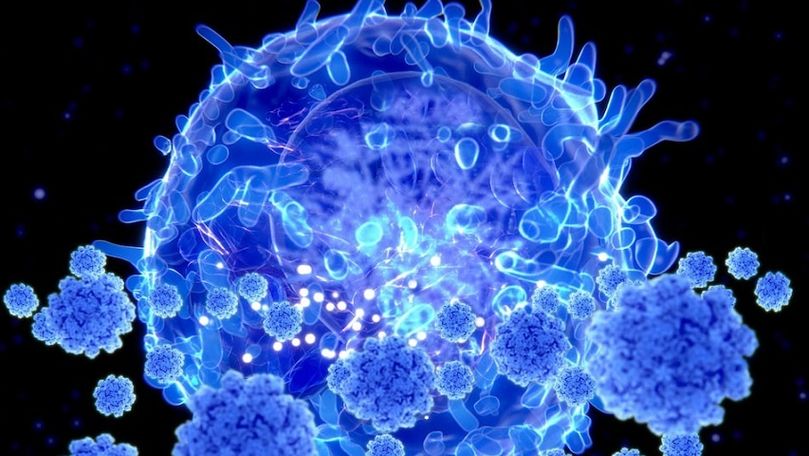 Germania a înregistrat un nou record înainte de relaxarea restricţiilor
