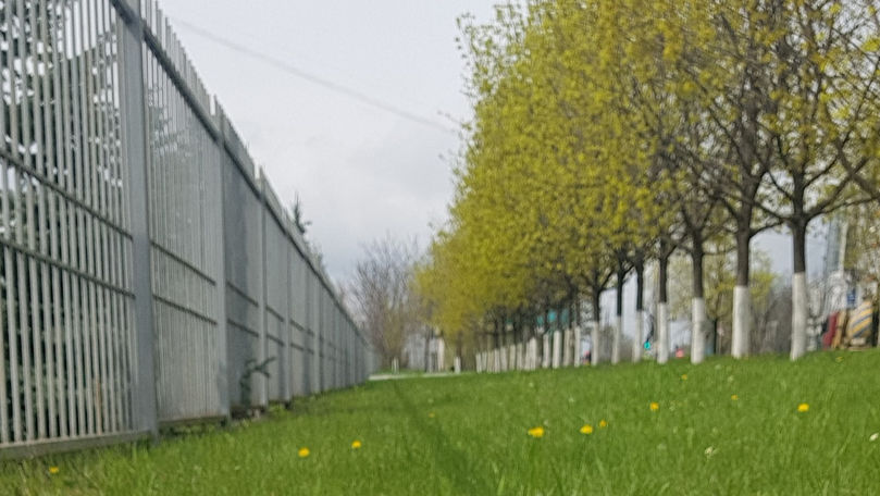 В четверг солнце порадует жителей Молдовы.