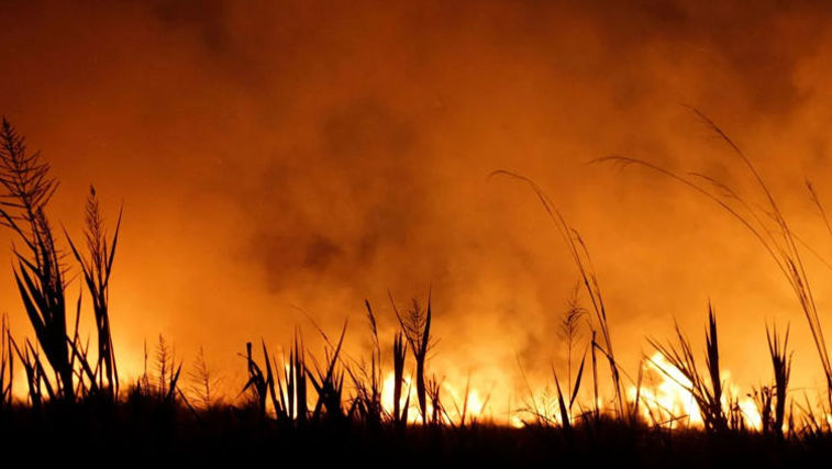 На молдо-украинской границе возникли пожары.