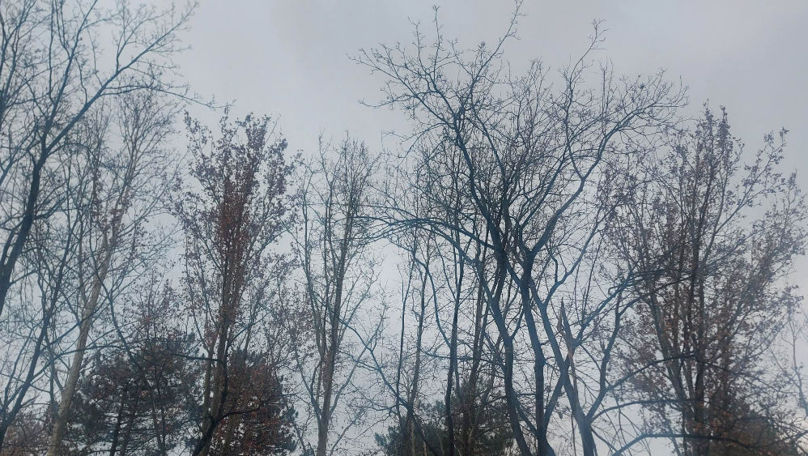 Meteo 21 ianuarie 2023: Ploi la nordul republicii. Temperaturile scad