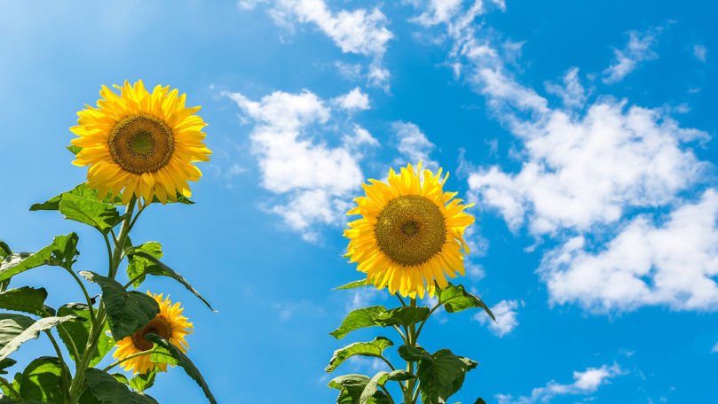 Vremea caldă se menține: Duminică se așteaptă maxime de până la +34°C