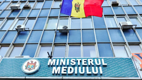 Ministerul Mediului, despre decesul fetiței lovită de o creangă în parc