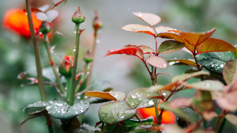Погода в Молдове остается нестабильной. Фото Point.md.
