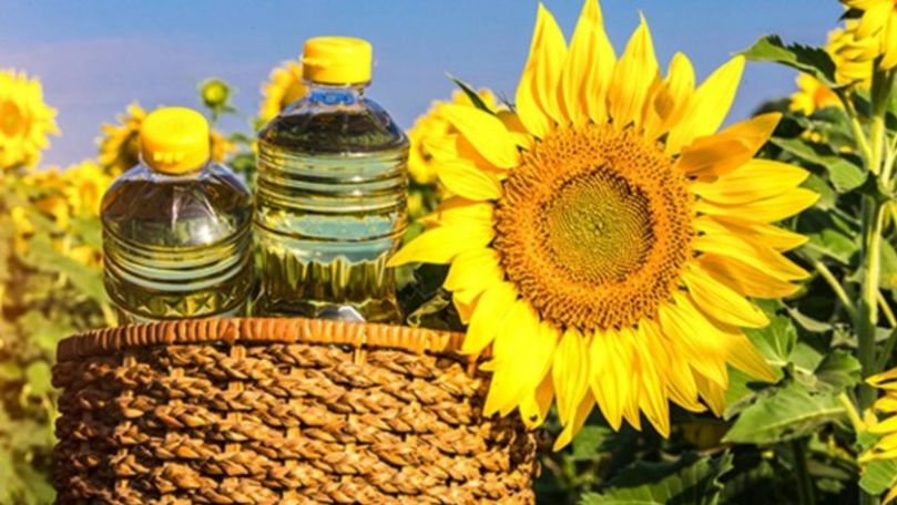 Afacere la Drochia: Un bărbat face ulei natural sută la sută la moara sa