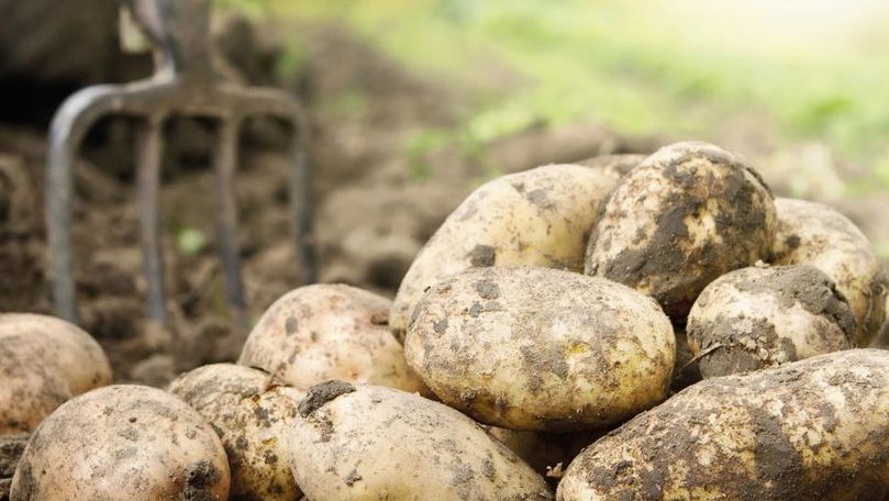 В Министерстве сельского хозяйства Беларуси экономическое чудо объясняют засухой в Европе.