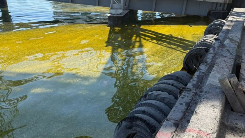 В Чёрное море вылилось шесть тысяч тонн подсолнечного масла после удара по порту.