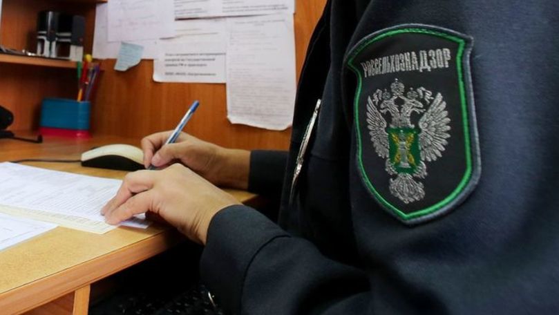 В России запустили систему управления рисками при ввозе молдавской продукции.